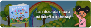 Learn about butterflies